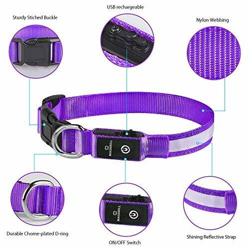 Collier pour chien violet avec recharge USB et sangle réfléchissante.