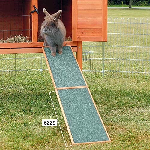 Lapin sur une rampe devant une cage en bois.