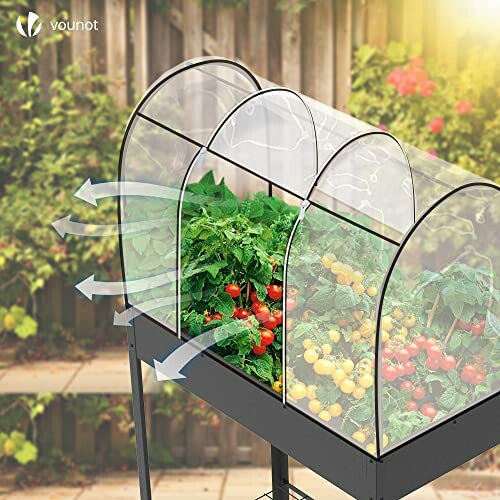 Jardin surélevé avec couverture transparente et plantes de tomates