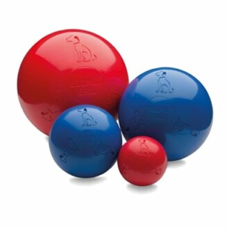 Jouets pour chiens rouges et bleus en forme de balle.