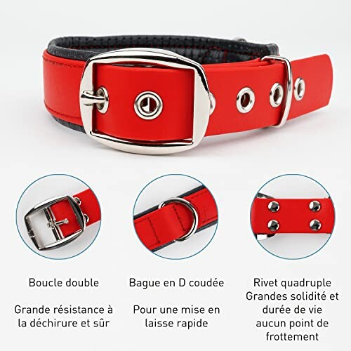 Collier rouge pour chien avec boucle double et bague en D.