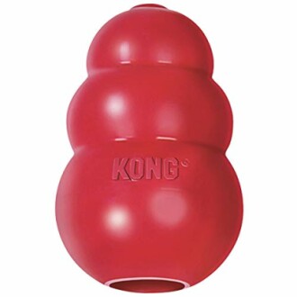 Jouet pour chien en caoutchouc rouge de marque KONG.