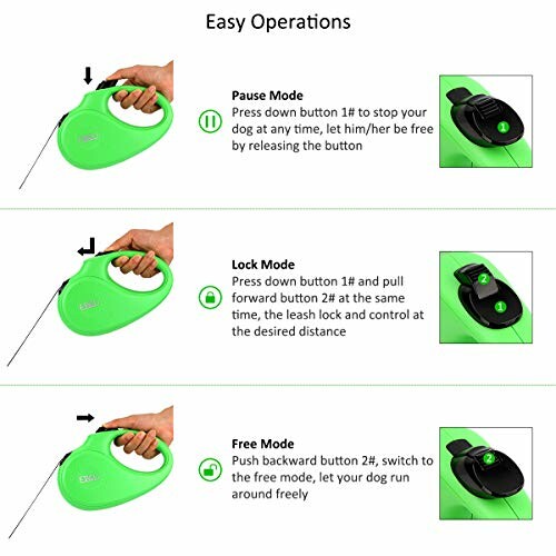 Guide d'utilisation de la laisse rétractable pour chien