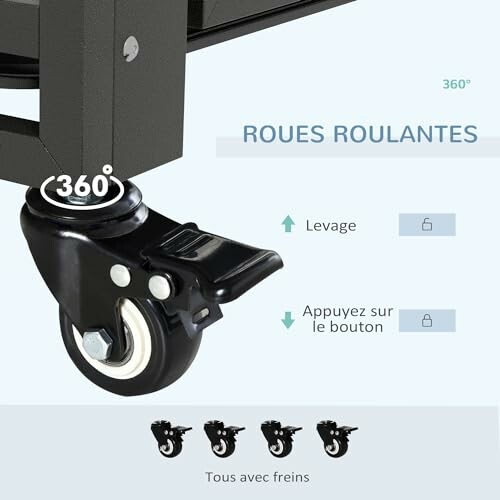 Roues pivotantes avec frein et levage