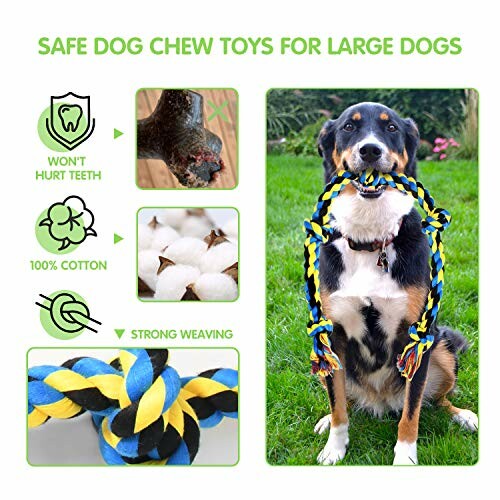 Grand Tough Chewing Toy