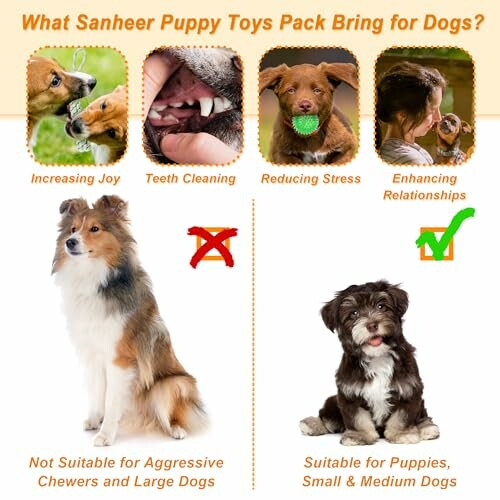 Jouets pour chiots Sanheer avec avantages pour les chiens.