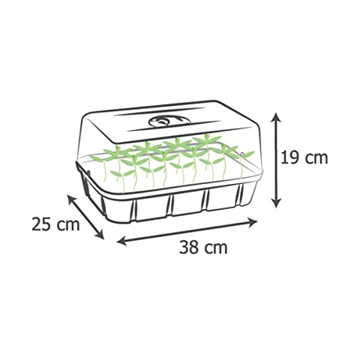 Illustration d'un propagateur de semis avec dimensions