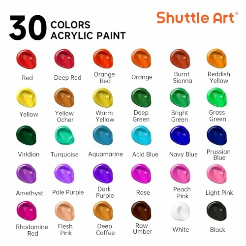 Palette de 30 couleurs de peinture acrylique Shuttle Art.