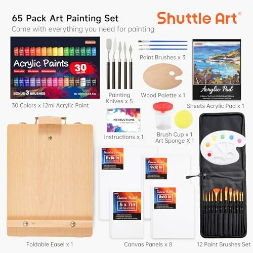 Kit de Peinture Shuttle Art 65PCS