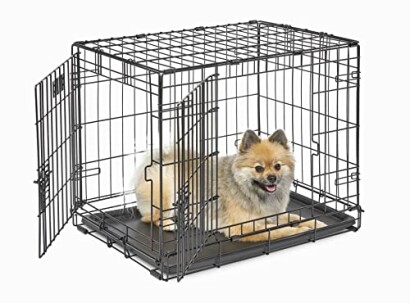 Chien de petite taille dans une cage en métal.