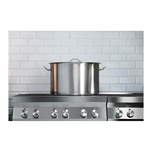 Casserole Induction Royal Catering RCST-44E3-S