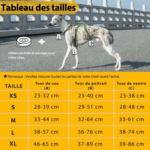 Tableau des tailles pour harnais de chien avec guide de mesure.