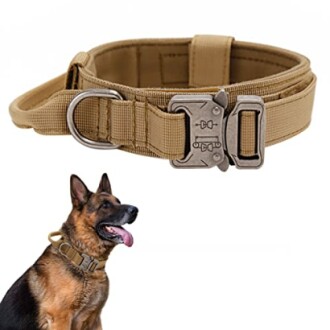 Collier tactique pour chien avec boucle en métal.