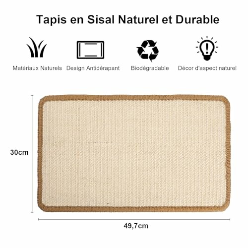 Tapis en sisal avec bordure marron, dimensions 49,7 cm sur 30 cm.