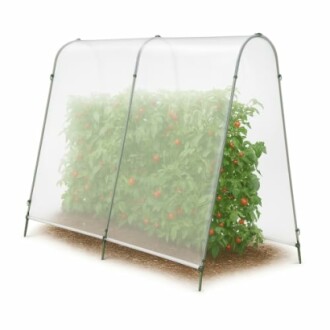 Structure de serre abritant des plants de tomates.
