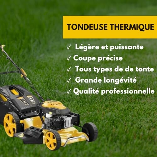 Tondeuse thermique jaune sur herbe verte avec caractéristiques listées.