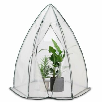 Petite serre transparente avec plantes à l'intérieur.