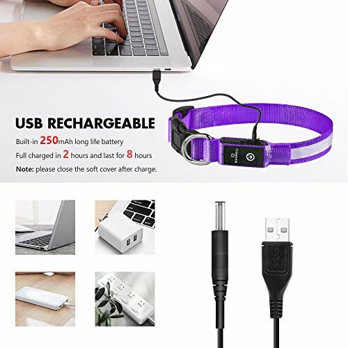 Collier pour animaux rechargeable par USB avec câble et ordinateur portable.