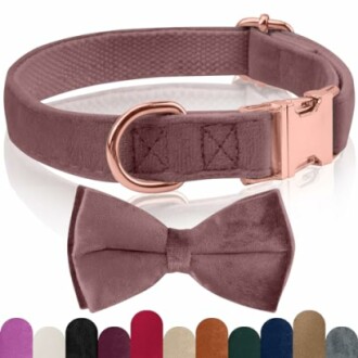 Collier en velours pour chien avec nœud papillon, couleurs variées